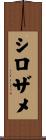 シロザメ Scroll