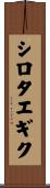 シロタエギク Scroll