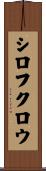 シロフクロウ Scroll