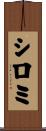 シロミ Scroll