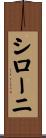 シローニ Scroll