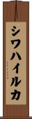 シワハイルカ Scroll
