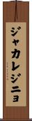 ジャカレジニョ Scroll