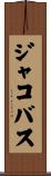 ジャコバス Scroll