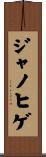 ジャノヒゲ Scroll