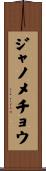 ジャノメチョウ Scroll
