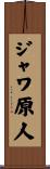 ジャワ原人 Scroll