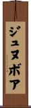 ジュヌボア Scroll