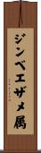 ジンベエザメ属 Scroll