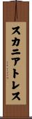 スカニアトレス Scroll