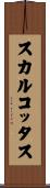 スカルコッタス Scroll