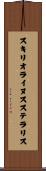 スキリオライヌスステラリス Scroll
