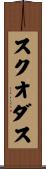 スクオダス Scroll