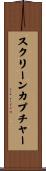 スクリーン・カプチャー Scroll