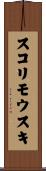 スコリモウスキ Scroll