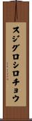 スジグロシロチョウ Scroll