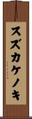 スズカケノキ Scroll