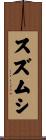 スズムシ Scroll