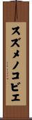 スズメノコビエ Scroll