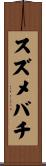 スズメバチ Scroll