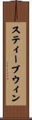 スティーブウィン Scroll