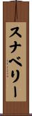 Snavely Scroll