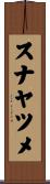 スナヤツメ Scroll