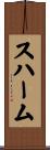 スハーム Scroll