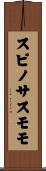 スピノサスモモ Scroll