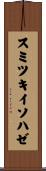 スミツキイソハゼ Scroll