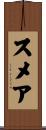 スメア Scroll