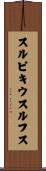 スルピキウスルフス Scroll