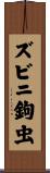 ズビニ鉤虫 Scroll