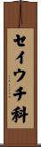 セイウチ科 Scroll