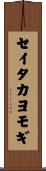 セイタカヨモギ Scroll