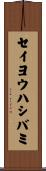 セイヨウハシバミ Scroll