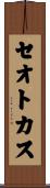 セオトカス Scroll