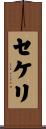 セケリ Scroll