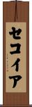 Sequoia Scroll