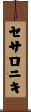 セサロニキ Scroll