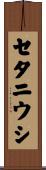 セタニウシ Scroll