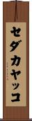 セダカヤッコ Scroll