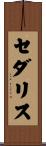 セダリス Scroll