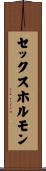 セックスホルモン Scroll