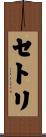 セトリ Scroll