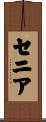 Xenia Scroll