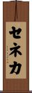 セネカ Scroll