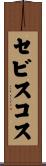 セビスコス Scroll