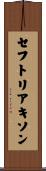 セフトリアキソン Scroll