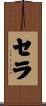 Sela Scroll